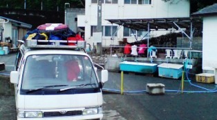 �����ϣ��ӡ�����(^o^)��