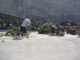 �������֭�