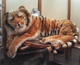 �Ǥä�����