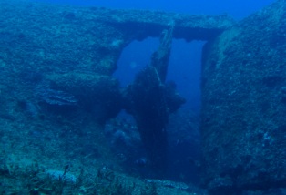 ˱��ݤΥ�����塼