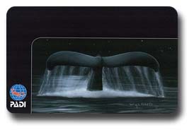 WYLANDデザインのCカード