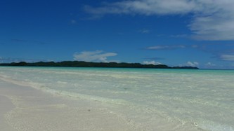 beach��beach��beach��