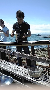 ή���������