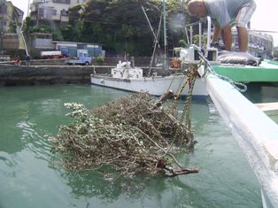 ����Ǥ���