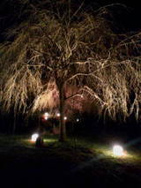 ����λ޿��