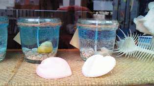 �����륭���ɥ��