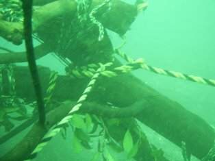 �����פǸ���