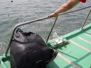 �ܥå��㡼�󡪡�