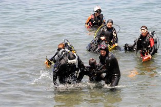 �۵��н跱��