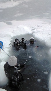 �������饨��ȥ꡼��