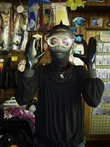 ï������