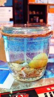 �����륭���ɥ��