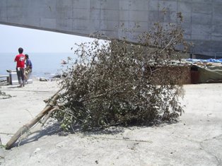 �Ǥ�����