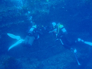 �ʤ����ޥ���������