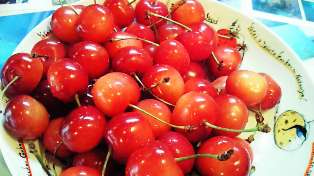 �������ܢ�