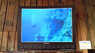 �ݥ�������������