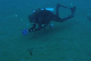 ���ӥ�����