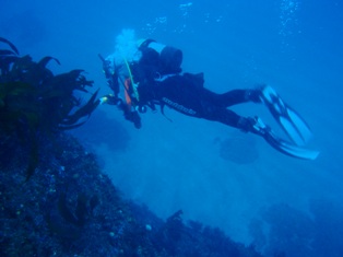 ����ޤǴݸ����Ǥ�