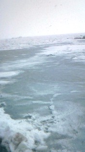 �������ʿ�