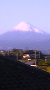 �ٻλ�����