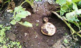 ���㥬�����