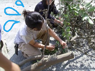 ´èÄ¥¤Ã¤¿¹ÃÈ夢¤Ã¤¿¡ª¡ª