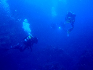 �ɤ��ޤǤ⸫���ޤ�