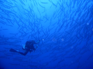 �ȥ�͡��ɤ��桪