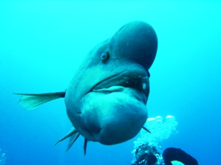 ���֥�����(��_��;)