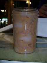 ��ȴݤα���