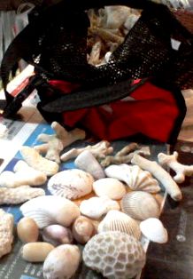 Ϳ���Υ��󥴡�