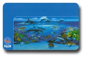 WYLANDデザインのCカード