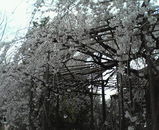 �����鸫��Ȥ���ʴ���������