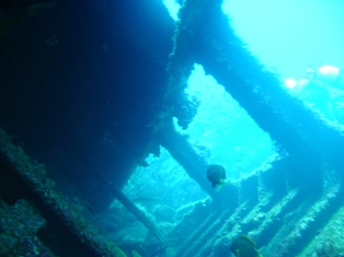 Ȭ�������������