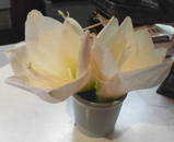 ��ĤȤ�������