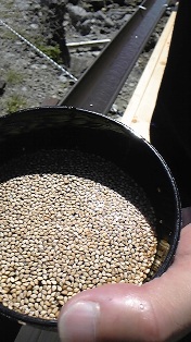 ή���������