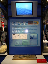 ��å������ʡ�