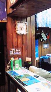 ���������ע�