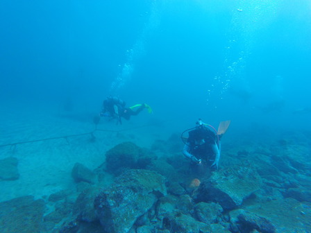 GOPR1154