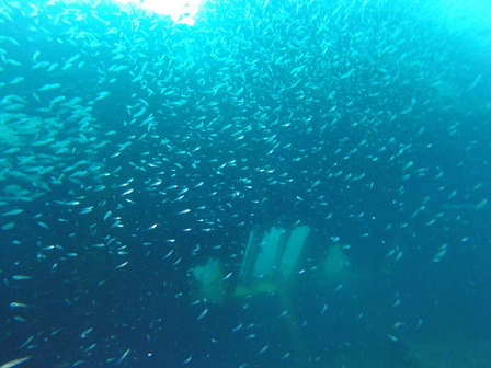 GOPR8164_1569146392938_high