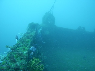 Ǯ������