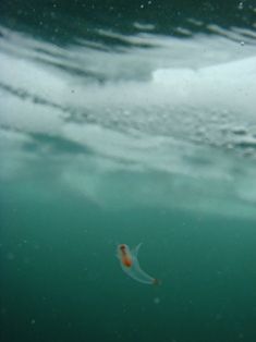 ���פΣ��硩��