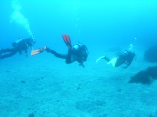 �����ͺ���