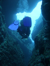 �ڤ�����