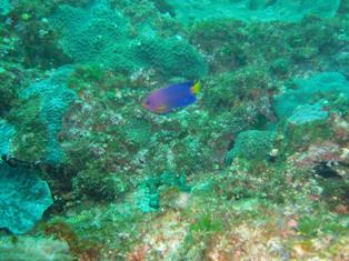 ���ƥ��å�