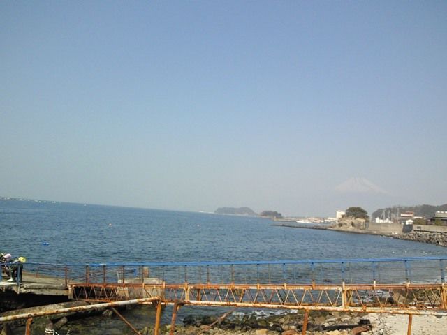 �٥��ȥ���ǥ������