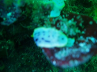 �������餱��