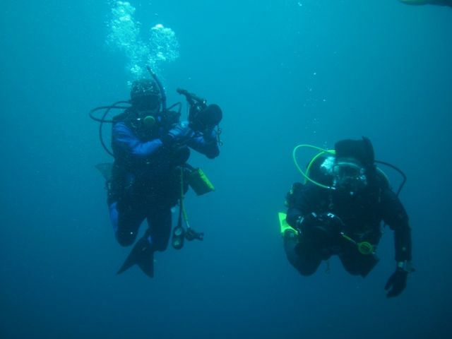 �յ�����MAX