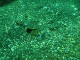 093b4012.jpg