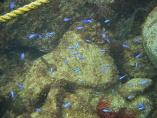 ���饹�������